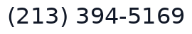 (213) 394-5169
